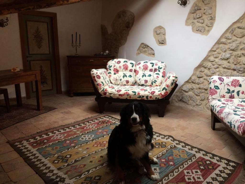 カステル・デル・モンテ Casa Lauraヴィラ エクステリア 写真